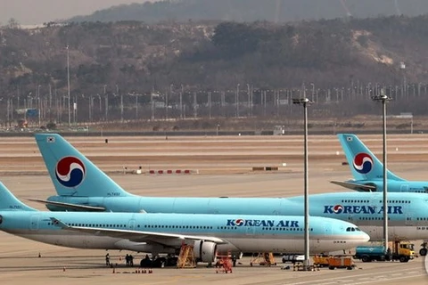 Máy bay của hãng hàng không Korean Air Lines. (Nguồn: Yonhap)