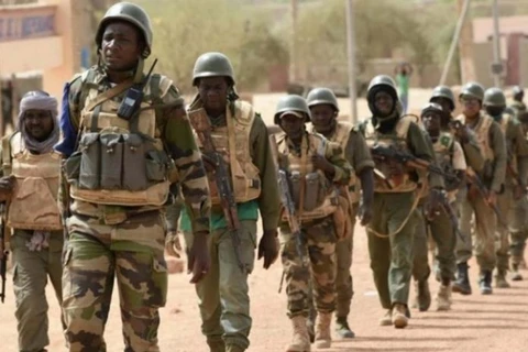 Lực lượng binh sỹ Mali. (Nguồn: africanquarters)
