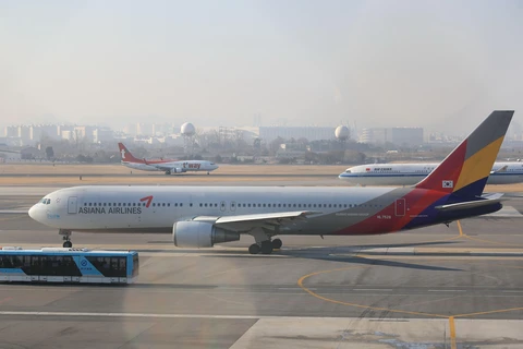 Máy bay của hãng hàng không Asiana Airlines tại sân bay Gimpo, Seoul, Hàn Quốc. (Ảnh: Yonhap/ TTXVN)
