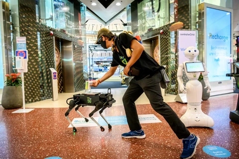 Chú chó robot có tên K9 được điều khiển bằng 5G. (Nguồn: AFP)