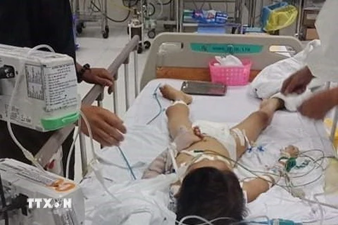 Bé Công được cấp cứu tại bệnh viện Nhi Đồng 2 trong tình trạng hôn mê sâu, nguy kịch. (Ảnh: TTXVN phát)
