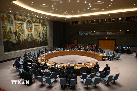 Hình ảnh toàn cảnh một cuộc họp Hội đồng Bảo an Liên hợp quốc tại New York, Mỹ. (Ảnh: AFP/TTXVN)