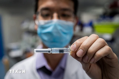 Vắcxin phòng COVID-19 được phát triển bởi công ty công nghệ sinh học Sinovac ở Bắc Kinh, Trung Quốc. (Ảnh: AFP/TTXVN)