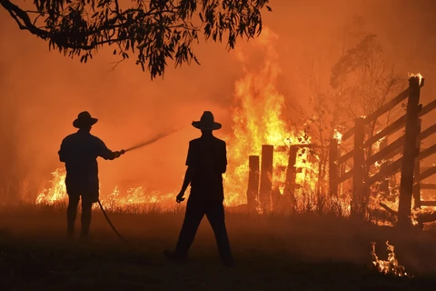Lực lượng cứu hỏa nỗ lực dập lửa cháy rừng tại Hillsville, gần Taree, New South Wales, Australia, ngày 12/11/2019. (Ảnh: AFP/ TTXVN)