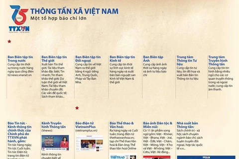 Thông tấn xã Việt Nam - Một tổ hợp báo chí lớn
