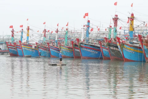 Da số các tàu cá ở Nghệ An đã vào bờ an toàn tránh bão số 7. (Ảnh: Nguyễn Oanh/TTXVN)