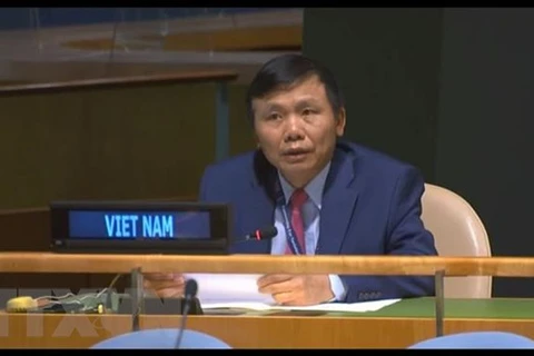 Việt Nam cam kết đóng góp tích cực vào các hoạt động gìn giữ hòa bình