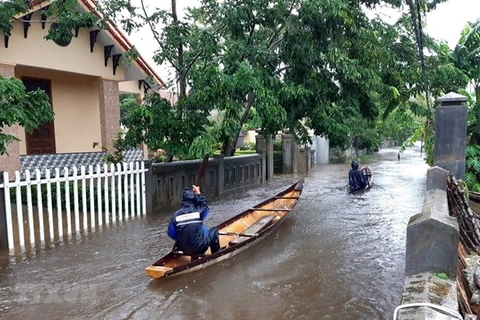 Hà Tĩnh, Quảng Bình và Quảng Trị có khả năng mưa đặc biệt to