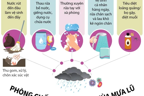 [Infographics] Chủ động phòng chống dịch bệnh trong mùa mưa lũ