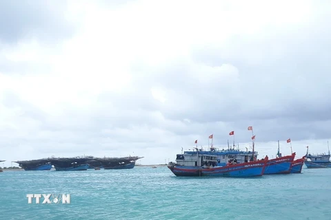 Cập nhật vụ 12 ngư dân Bình Định mất tích khi tránh trú bão số 9
