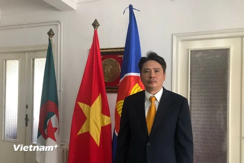 Đại sứ Việt Nam tại Algeria Nguyễn Thành Vinh. (Ảnh: Tấn Đạt/Vietnam+)