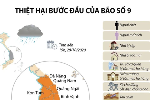[Infographics] Thống kê những thiệt hại ban đầu do bão số 9