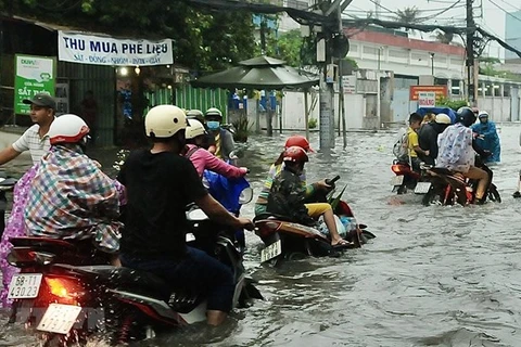Thành phố Hồ Chí Minh chủ động ứng phó triều cường đạt đỉnh 1,7m