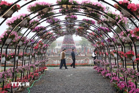 Khai mạc lễ hội hoa Xuân tại vùng trồng hoa lớn nhất miền Bắc