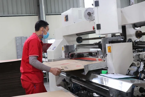 Sản xuất tại Công ty TNHH Trần Thành, khu công nghiệp Tiên Sơn, huyện Tiên Du, tỉnh Bắc Ninh. (Ảnh: Thái Hùng/TTXVN)