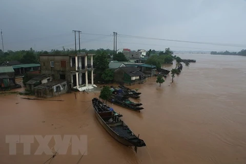 Ấn Độ ủng hộ nhân dân chịu thiệt hại do lũ lụt miền Trung Việt Nam