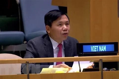 Việt Nam ủng hộ hoạt động của Phái bộ gìn giữ hòa bình tại Nam Sudan