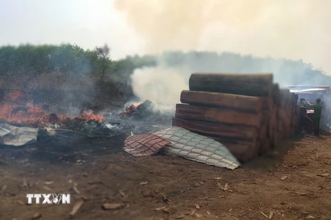 Bình Phước: Cháy khu vực chứa gỗ trong khuôn viên Chi cục Hải Quan