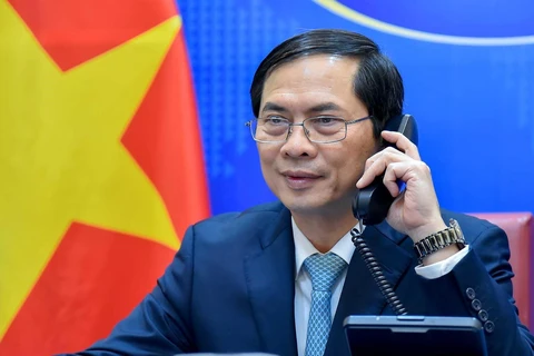 Bộ trưởng Bộ Ngoại giao Bùi Thanh Sơn điện đàm. (Ảnh: TTXVN phát)