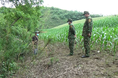 Bộ đội Biên phòng Lào Cai bắt giữ hai trường hợp nhập cảnh trái phép