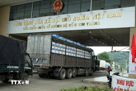 Trên 3.600 tấn quả vải tươi đã được xuất qua cửa khẩu quốc tế Lào Cai