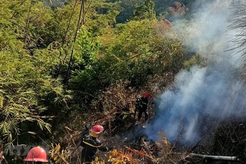 Quảng Ngãi: Nắng nóng gay gắt, cảnh báo nguy cơ cháy rừng