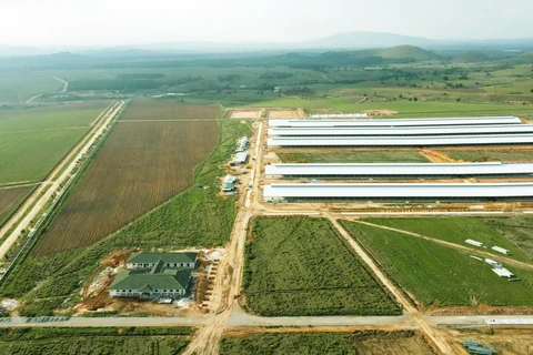 Trang trại đầu tiên trong Tổ hợp bò sữa Lao-Jagro tại Xiengkhuang của Vinamilk đã hoàn thành các hạng mục xây dựng cơ bản (ảnh chụp tháng 5/2021).