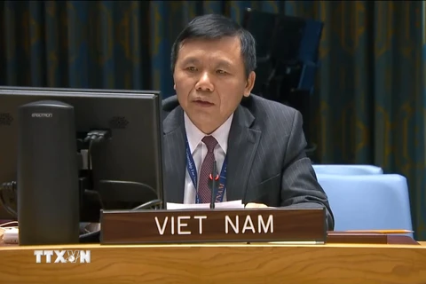 Việt Nam kêu gọi Mali tăng cường các nỗ lực hòa hợp dân tộc