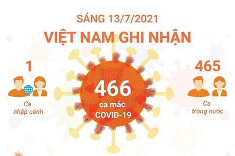[Infographics] Việt Nam đã có gần 31.000 ca mắc COVID-19