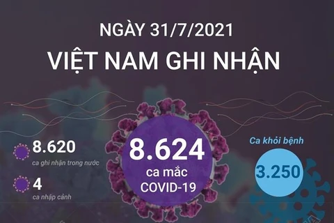 [Infographics] Việt Nam ghi nhận 8.624 ca mắc COVID-19 trong ngày 31/7