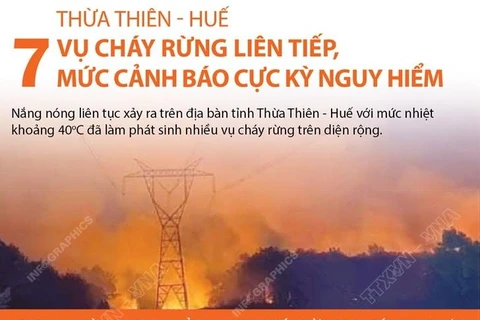 Thừa Thiên-Huế: 7 vụ cháy rừng liên tiếp, cảnh báo cực kỳ nguy hiểm