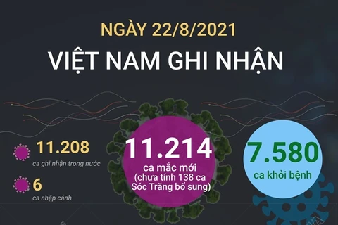 [Infographics] Việt Nam có tổng cộng hơn 348.000 ca mắc COVID-19