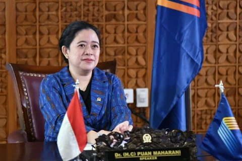 Chủ tịch Hạ viện Indonesia kêu gọi ASEAN hợp tác để kiềm chế đại dịch