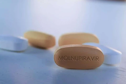 [Video] Sử dụng thuốc kháng virus mới Molnupiravir tại TP.HCM