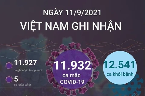 [Infographics] Việt Nam có 601.349 ca mắc COVID-19 kể từ đầu dịch