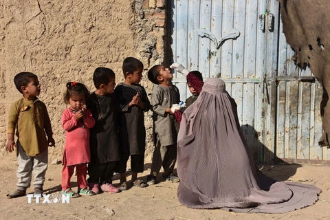 Tình hình Afghanistan: WHO cảnh báo hệ thống y tế sụp đổ