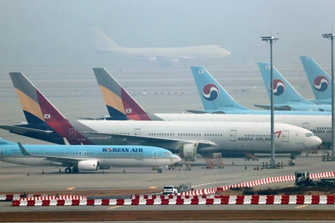 Hàn Quốc xem xét thỏa thuận mua Asiana Airlines của Korean Air