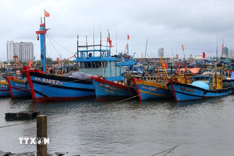Quảng Ngãi kêu gọi tàu thuyền vào nơi trú ẩn, chủ động ứng phó mưa bão
