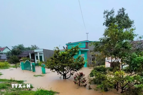 Mưa lớn gây ngập hàng trăm ngôi nhà và thiệt hại nông nghiệp ở Đắk Lắk