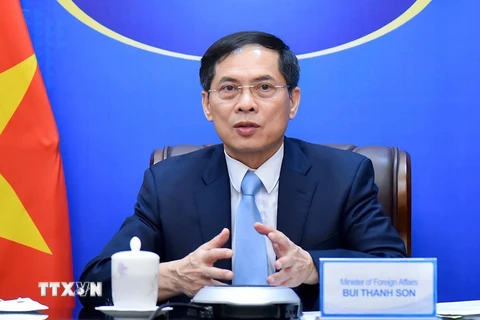 Bộ trưởng Bùi Thanh Sơn gặp Bộ trưởng Ngoại giao và Phát triển Anh