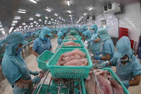 Mở rộng thị trường và nâng cao thương hiệu cho cá basa Việt Nam