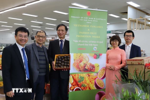 Thúc đẩy đầu tư, thương mại Việt Nam-Australia lên tầm cao mới