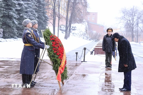 Chủ tịch nước đặt vòng hoa tại Đài tưởng niệm các Chiến sỹ Vô danh