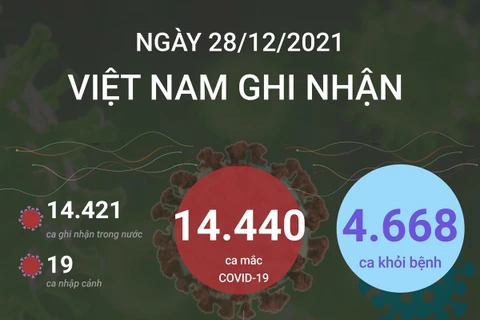 [Infographics] Tình hình dịch bệnh COVID-19 tại Việt Nam ngày 28/12