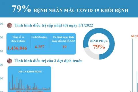 [Infographics] 79% bệnh nhân mắc COVID-19 ở Việt Nam khỏi bệnh