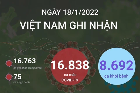 [Infographics] Cập nhật thông tin về tình hình COVID-19 tại Việt Nam