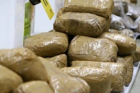 Hải quan Benin bắt giữ gần 2 tấn ma túy trên biên giới với Togo