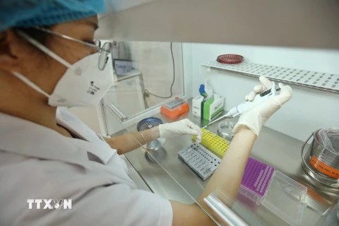 TP Hồ Chí Minh ghi nhận tổng cộng 88 ca nhiễm biến chủng Omicron