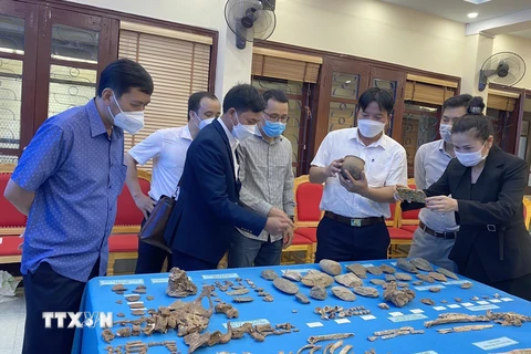 Điện Biên: Phát hiện 4 mộ táng tại hố khai quật hang Thẩm Tâu