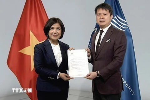 Việt Nam gia nhập Hiệp ước WIPO về buổi biểu diễn và bản ghi âm